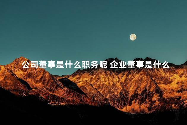 公司董事是什么职务呢 企业董事是什么职位